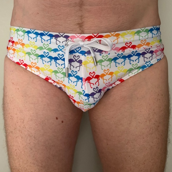 2xist Pride Rainbow Flamingos Swim Brief - Small - Picture 3 of 5
